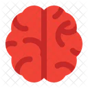 Brain  Icon