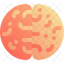 Brain  Icon