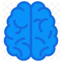 Brain  Icône