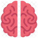 Anatomy Organ Biology Icon