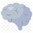 Brain  Icon