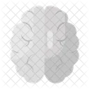 Brain  Icon