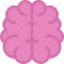 Brain  Icon