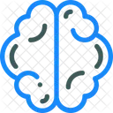 Brain  Icon