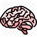 Brain Mind Organ Icône