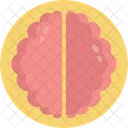 Brain  Icon