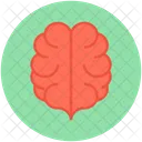 Brain  Icon