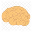 Brain  Icon