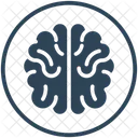 Brain  Icon