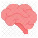 Brain Cerebellum Endocrine Icône