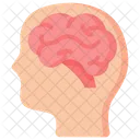 Brain System Anatomy Icône