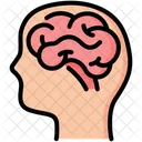 Brain System Anatomy Icône