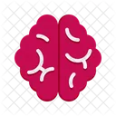 Brain  Icon