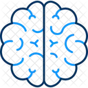Brain  Icon