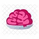 Brain  Icon