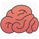 Brain  Icon