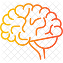 Brain  Icon