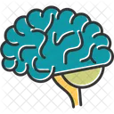 Brain  Icon