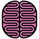 Brain  Icon