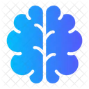Brain  Symbol