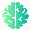 Brain  Icon