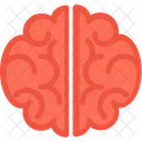 Brain  Icon
