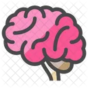 Brain  Icon