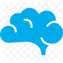 Brain  Icon