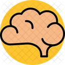 Brain  Icon