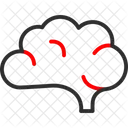 Brain  Icon