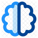 Brain  Icon