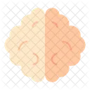 Brain  Icon