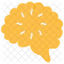 Brain  Symbol