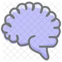 Brain  Icon