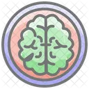 Brain  Icon