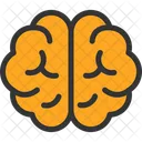 Brain Education Human Head Icon