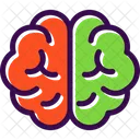 Brain Education Human Head Icon