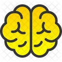 Brain Education Human Head Icon