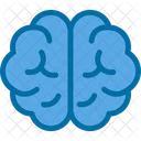 Brain Education Human Head Icon