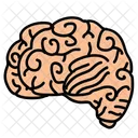 Brain Icon