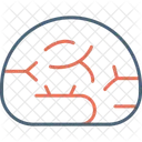 Brain  Icon