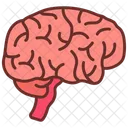 Brain  Icon