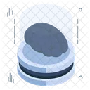 Brain  Icon
