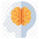 Brain  Icon