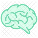 Brain Color Outline Icon 아이콘