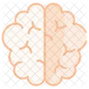 Brain  Icon