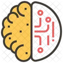 Brain  Icon
