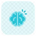 Brain Memory Memory Brain Icon