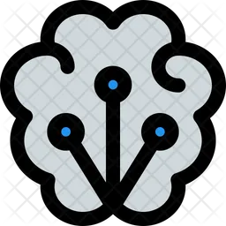 Brain Network  Icon