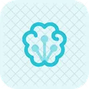 Brain Network  Icône